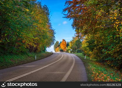 Colorful trees by a road curve in the fall