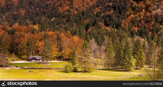 Colorful trees in autumn in the french alps.