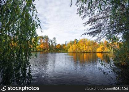 Colorful trees in the autumn by a lake in an autumn landscape in golden autumn colors