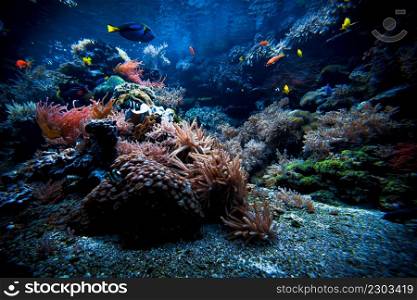 Colorful Tropical Reef Landscape. Life in the ocean