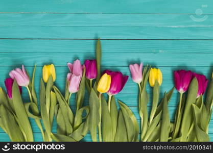 colorful tulip flowers arranged bottom green wooden background