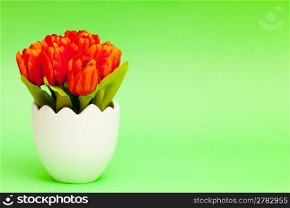 Colorful tulip flowers in the white pot