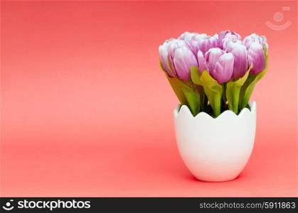 Colorful tulip flowers in the white pot
