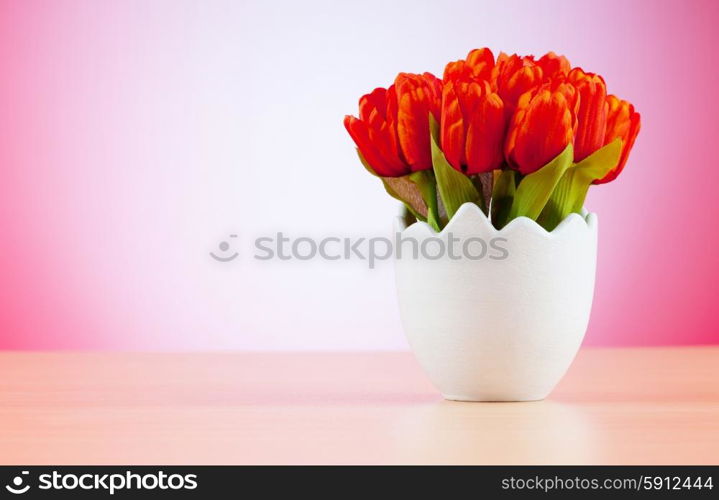 Colorful tulip flowers in the white pot