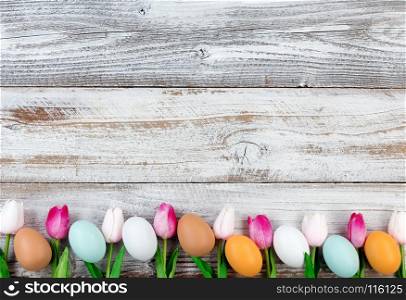 colorful tulips and real eggs forming lower border on rustic white wood for Easter Background