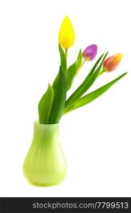 colorful tulips in vase isolated on white