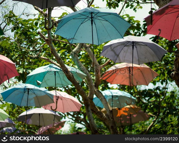 colorful umbrella background colorful umbrellas in the garden