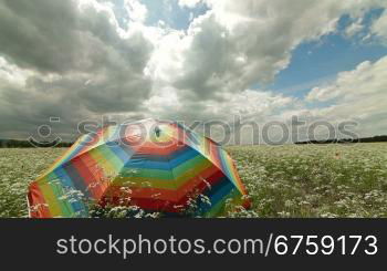 Colorful umbrella in a summer field