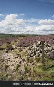 Colorful vibrant landscape image of Burbage Edge and Rocks in Summer in Peak District England