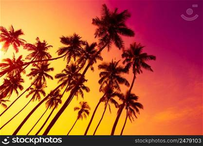 Colorful vivd beach sunset with tropical palms trees silhouettes and shining sun