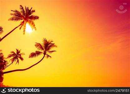 Colorful vivd island beach sunset with three tropical palms trees silhouettes hanging over the ocean and shining sun with sky copy-space