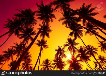 Colorful vivd island beach sunset with tropical palms trees silhouettes and shining sun