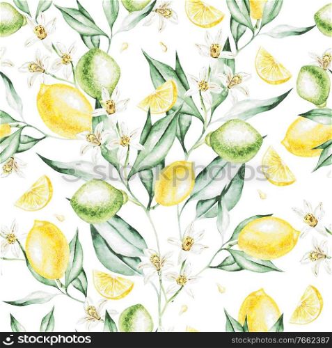Colorful watercolor pattern with lemon fruits and flowers. Illustrations.. Colorful watercolor pattern with lemon fruits and flowers. 