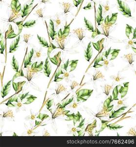 Colorful watercolor pattern with lemon fruits and flowers. Illustrations.. Colorful watercolor pattern with lemon fruits and flowers. 