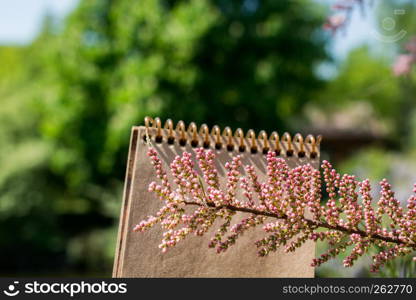 Colorful wild spring flowers in on a spiral a notebook