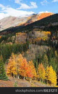 Colorful yellow autumn in Colorado, United States. Fall season.