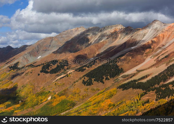 Colorful yellow autumn in Colorado, United States. Fall season.