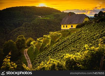 Colorfull landscape of sunset at vineyards in Austrian countryside in town Kitzeck im Sausal. Tourist destination. Colorfull landscape of sunset at vineyards in Austrian countryside in town Kitzeck im Sausal