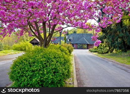 Colorfun nature view - old cottage in Podravina region of Croatia