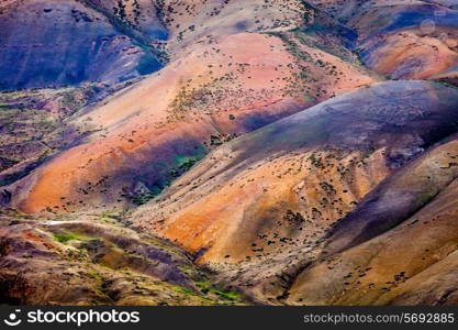 Colors of Himalayas. Spiti valley, Himachal Pradesh, India