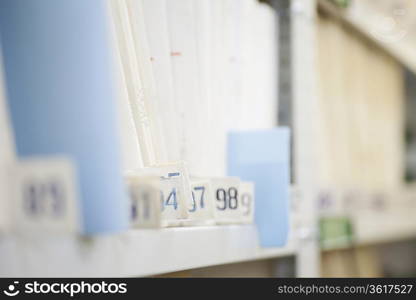 Colour coded filing system on library shelves