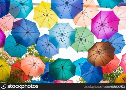 colour umbrella background in day time and clear sky.