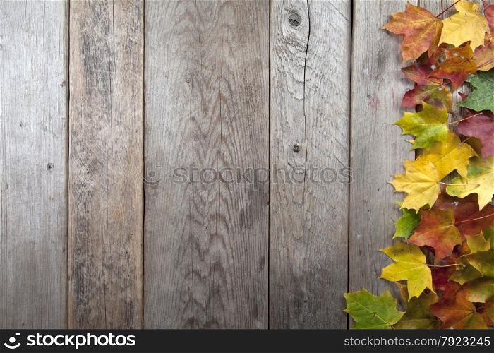 Colourful autumn leaves with wooden background