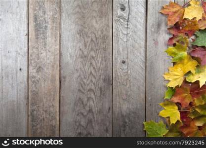 Colourful autumn leaves with wooden background