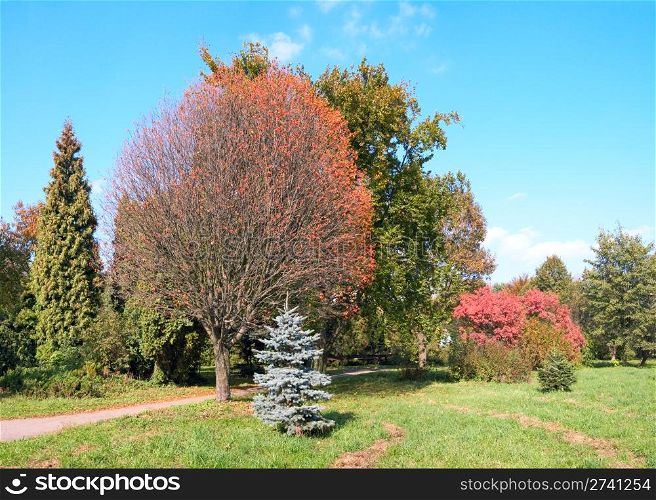 Colourful autumn park. Four shots composite picture.