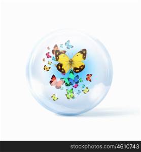 colourful butterflies. colourful butterflies flying inside a glass sphere