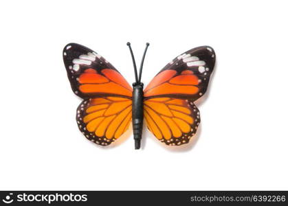 Colourful butterfly isolated on white background