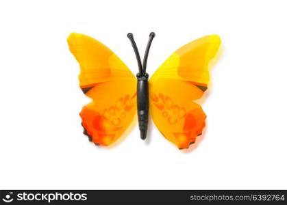 Colourful butterfly isolated on white background