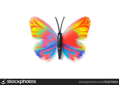 Colourful butterfly isolated on white background