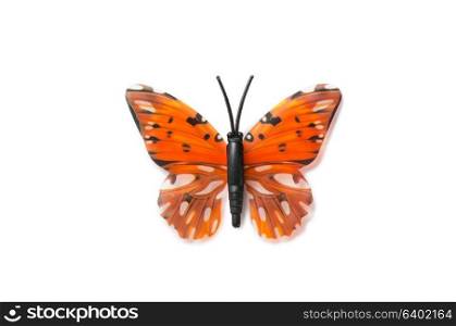Colourful butterfly isolated on white background