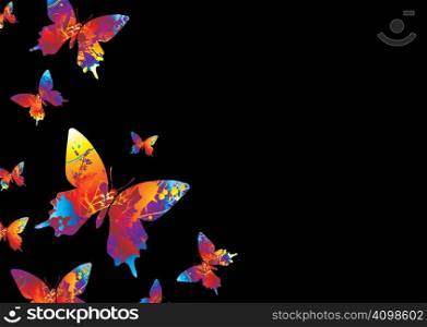 colourful collection of butterflys on a black background