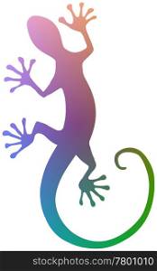 Colourful Gecko