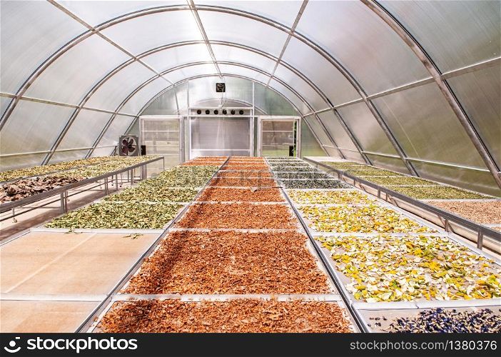 Colourful herbs in Solar dryer greenhouse for drying food and herbs ingredient or agriculture products by sunlight heat.