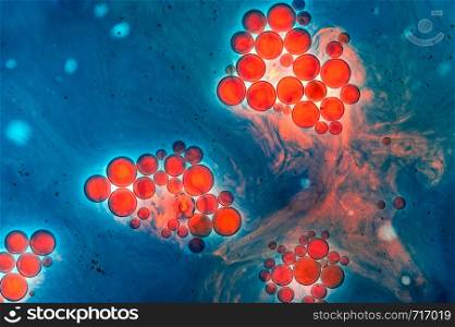 Colourful oil ink bubbles and drops.Abstract paint design template mixed texture background. Liquid decorative color backdrop. Wallpaper pattern.. Colourful oil ink bubbles and drops. Abstract template mixed texture background. Wallpaper pattern.