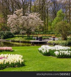 Colourful Spring Formal Garden