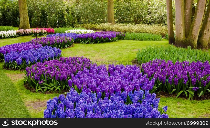 Colourful Spring Formal Garden
