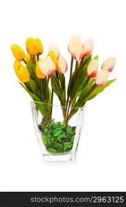 Colourful tulips isolated on the white background