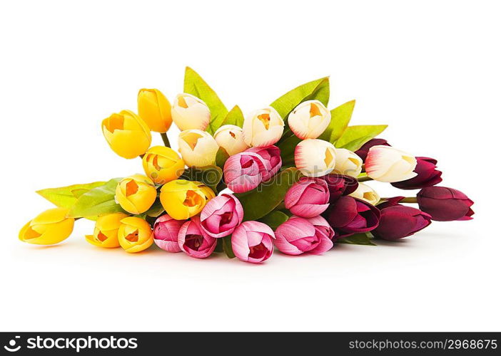 Colourful tulips isolated on the white background