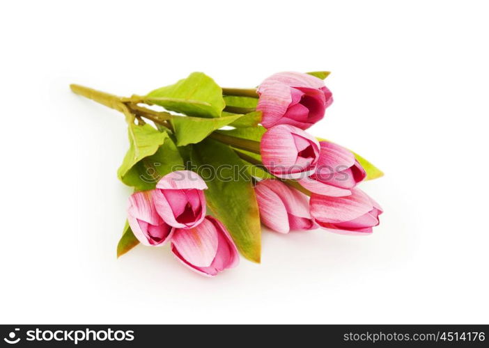 Colourful tulips isolated on the white background