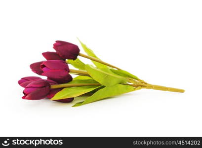 Colourful tulips isolated on the white background