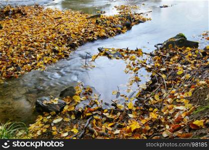 Colours of autumn, colourful leafs swimming in a creek