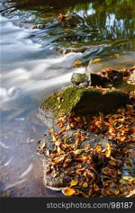 Colours of autumn, colourful leafs swimming in a creek