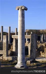 Column on the street of Perge, TurkeySONY DSC