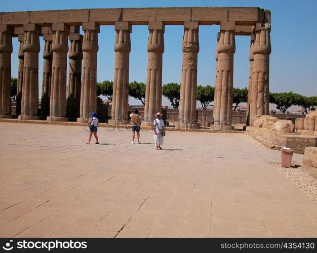 Columns in a temple, Temple Of Luxor, Luxor, Egypt