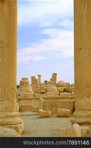 columns in ancient Palmyra, Syria