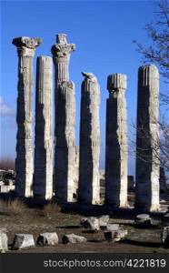 Columns of Zeus temple in Uzunjaburch, Turkey